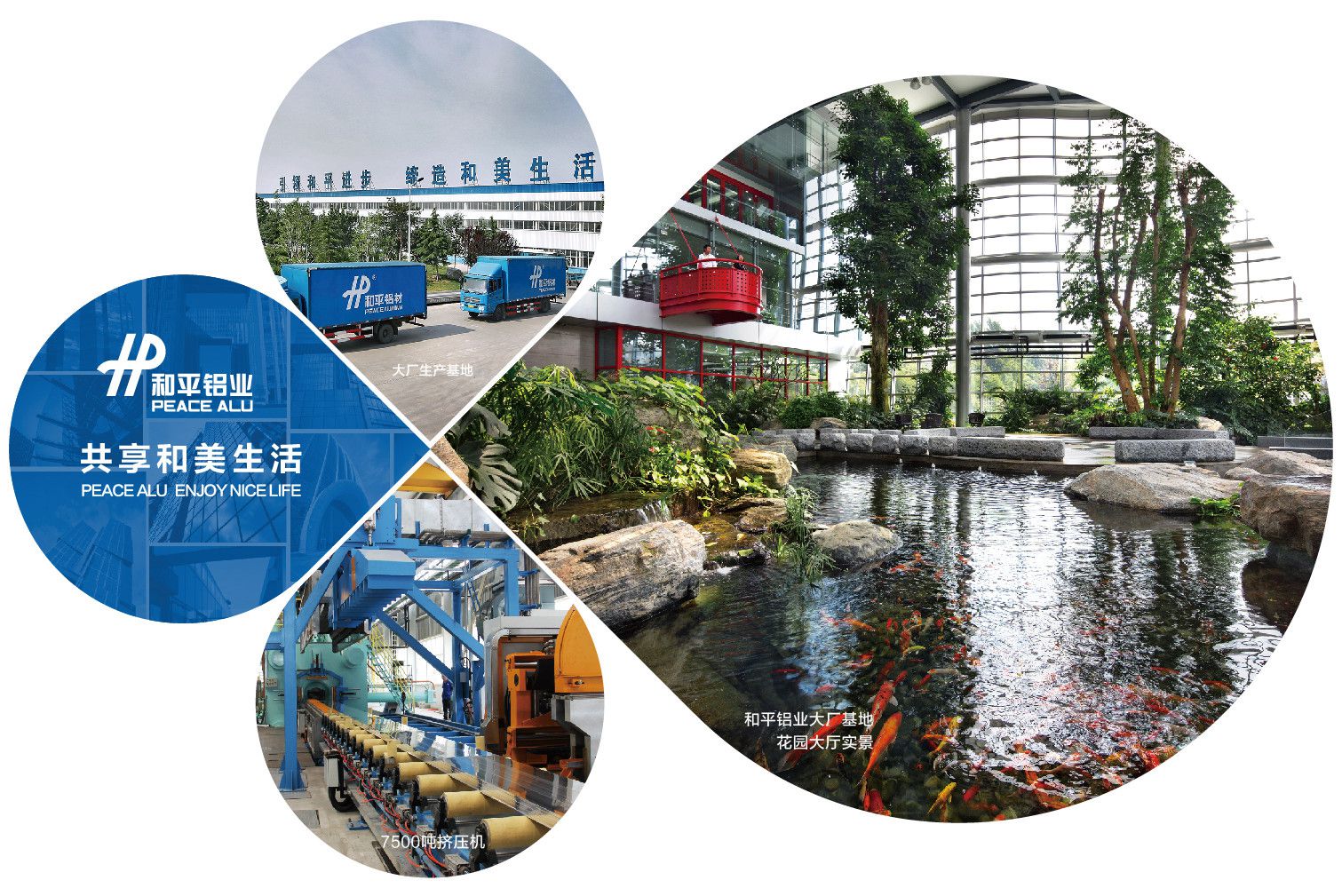 Зураг болон текст блок